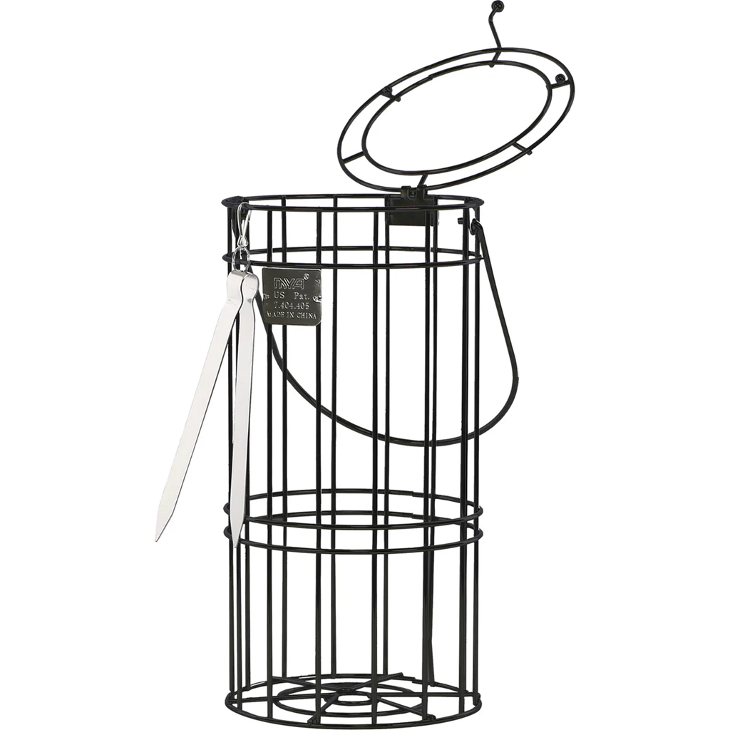 Mya Hookah Chico Cage